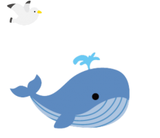 whale